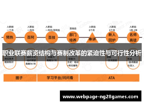 职业联赛薪资结构与赛制改革的紧迫性与可行性分析