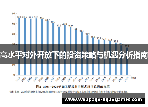 高水平对外开放下的投资策略与机遇分析指南